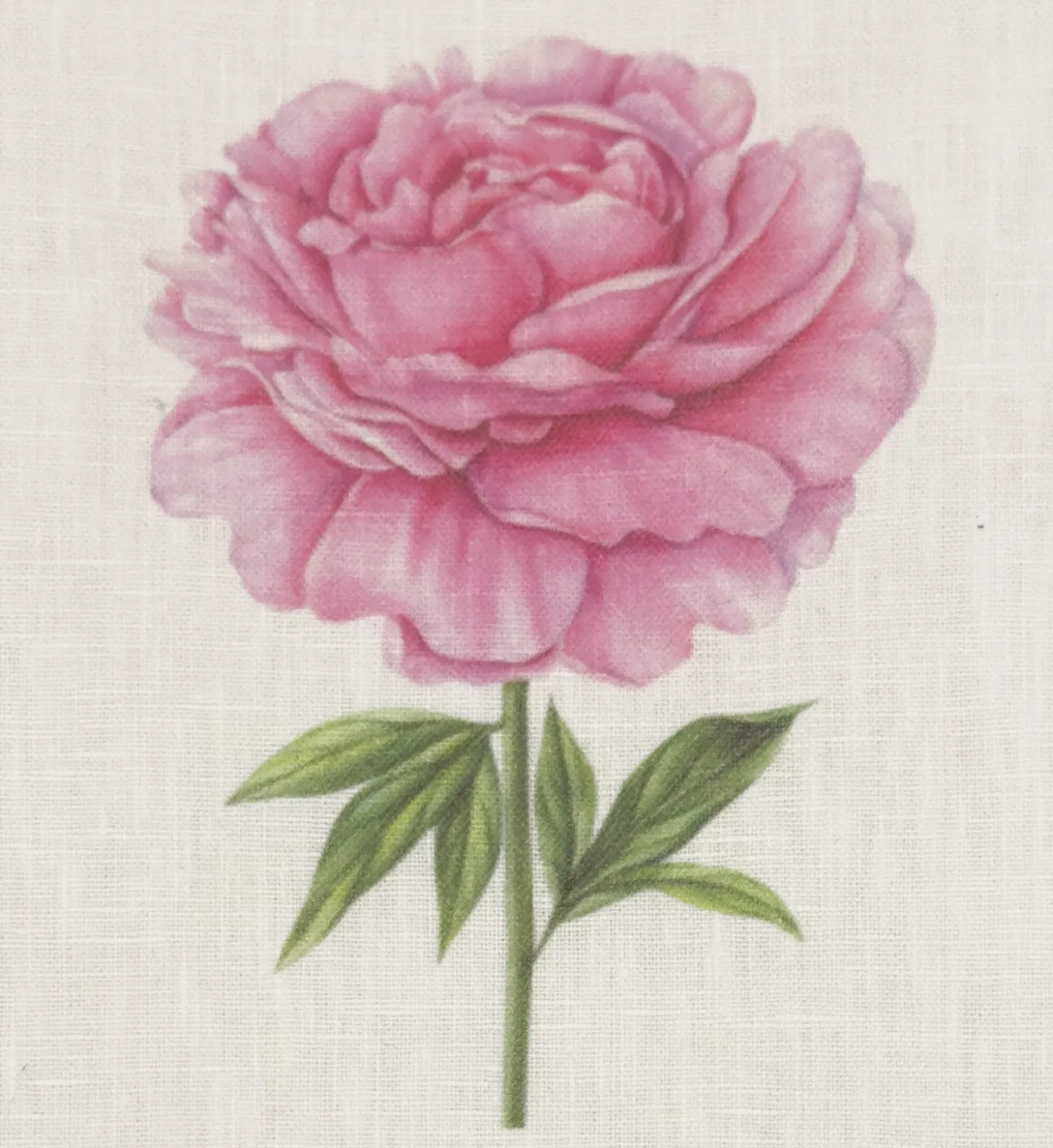 Henry Handwork Peony Linen Tissue Box Cover - Thumbnail 2